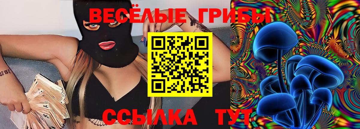 Псилоцибиновые грибы Psilocybine cubensis  Вход с VPN  Псилоцибиновые грибы прущие грибы  Петрозаводск 